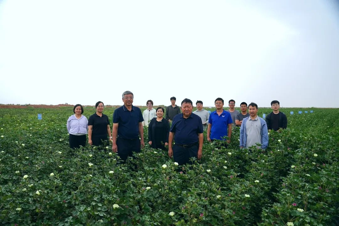 看！他们爆改的盐碱地正在开花...